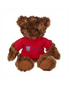 Fergus Bear 11" Plush (Tee)