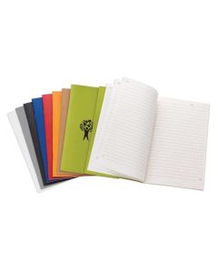 Single Meeting Eco Notebook