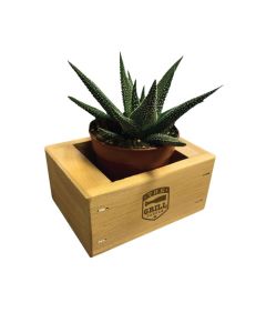 Single Place Cedar Planter