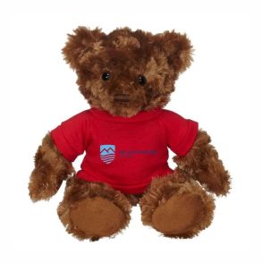 Fergus Bear 11" Plush (Tee)