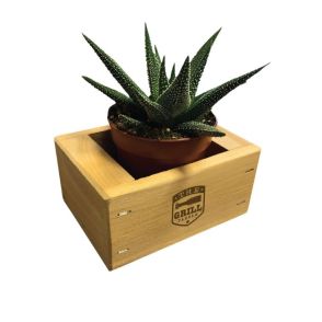 Single Place Cedar Planter